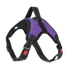 Load image into Gallery viewer, Soft Adjustable Dog Harness