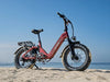 HeyBike Ranger 3.0 Pro-combo