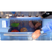    blaze-grills-32-4-burner-blaze-lte-grill-with-lights-blz-4lte2-ng-lp