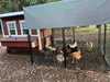 Tarp for Walk-In 8 ft. Chicken Run (6'6"W x 7'6"L x 6'3"H)