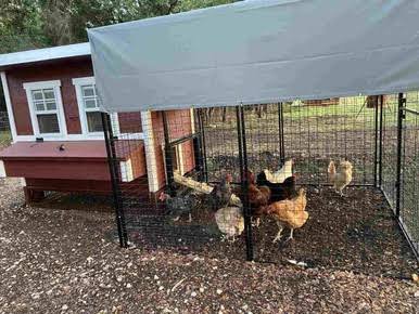 Tarp for Walk-In 8 ft. Chicken Run (6'6"W x 7'6"L x 6'3"H)