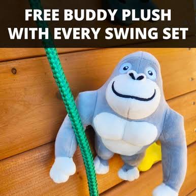 Gorilla Playsets Outing w/ Dual Slides Swing Set