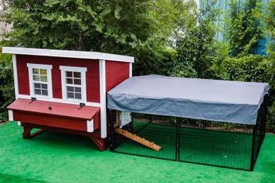 Tarp for Regular 8 ft. Chicken Run (7'W x 8'L x 4'H)