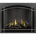 Napoleon 42'' Altitude X  Direct Vent Fireplace