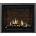 Napoleon 42'' Altitude X  Direct Vent Fireplace