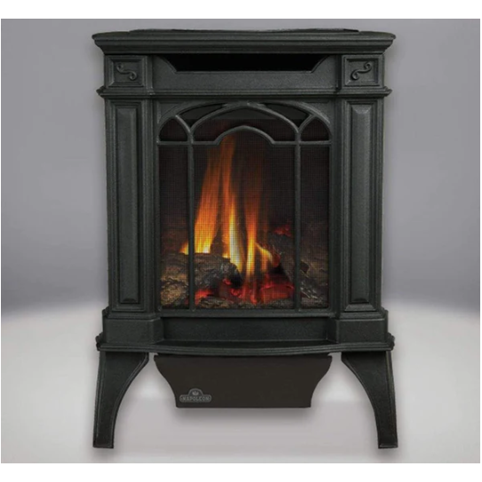Napoleon Arlington™ Direct Vent Stove, Natural Gas, Electronic Ignition - Black GDS20NE