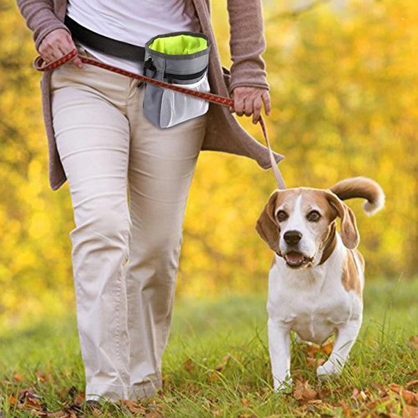 Dog Training Travel Pouch