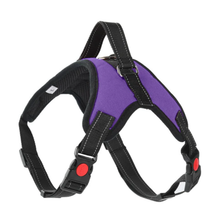 Load image into Gallery viewer, Soft Adjustable Dog Harness

